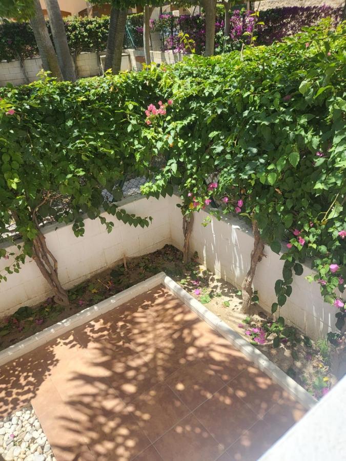 ¡Bajo Precioso Con Salida Directa A La Piscina Comunitaria En Paraiso De Vera! Buitenkant foto