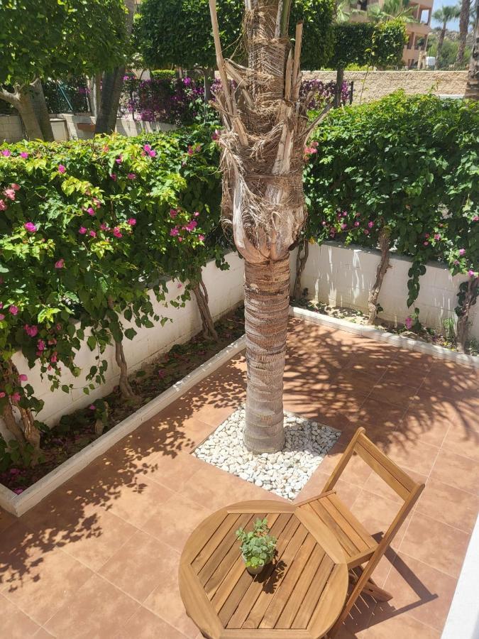 ¡Bajo Precioso Con Salida Directa A La Piscina Comunitaria En Paraiso De Vera! Buitenkant foto