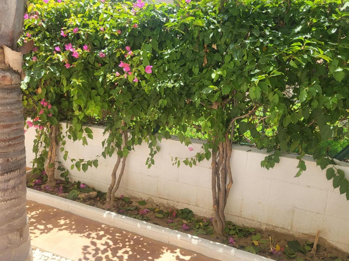 ¡Bajo Precioso Con Salida Directa A La Piscina Comunitaria En Paraiso De Vera! Buitenkant foto